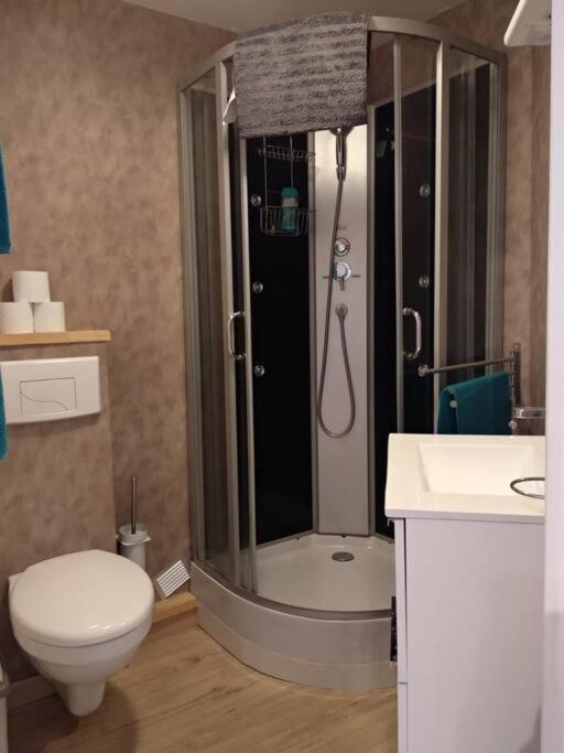 Appartement Centre Ville Rose Toulouse Exteriör bild